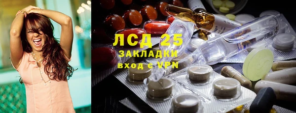 шишки Армянск