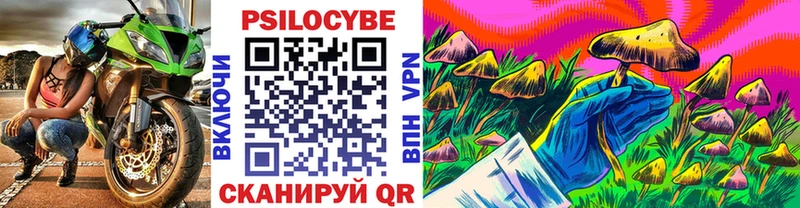 Псилоцибиновые грибы Psilocybine cubensis  Купить  Строитель 