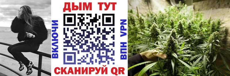 Купить закладки Строитель Каннабис конопля